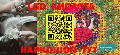 шишки Моздок