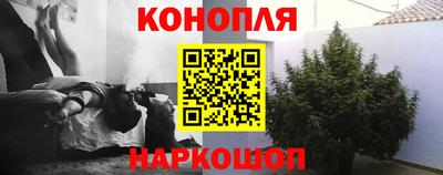 крисы Нальчик