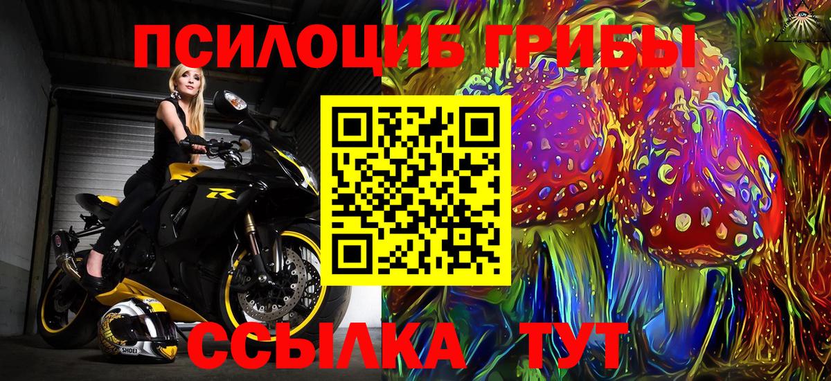 Псилоцибиновые грибы Cubensis Среднеуральск